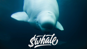 $Whale family extravaganza enlightenment pilgrimage to Marble City of Dolphzion