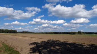 Beautiful landscapes of the Lublin region - My Actifit Report Card: September 25, 2024