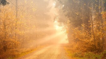 Impressionable Experiences:  Friendship's Evolution:  Following The Light
