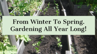 Time For A 'Winter To Spring' Gardening Update