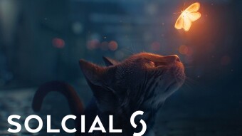 Solcial: I will manage all the data only myself