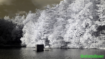 Infrared Photography - Lake drain at Fort Mountain State Park