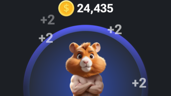 🐹Racking up Hamster Kombat Points... Still