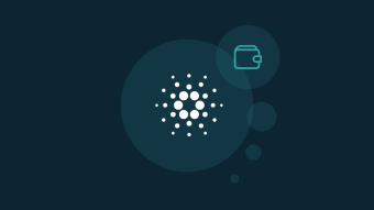 3 Best Cardano Wallets 2021