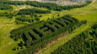 A drone photographer captured an artificial forest planted with the word "Lenin"
