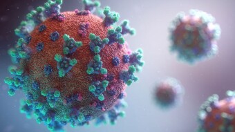 Pandemics: a review of history