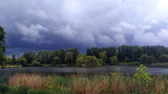 Today's weather is mixed, with some sun, rain, storms and gusty winds - My Actifit Report Card: May 16 2025