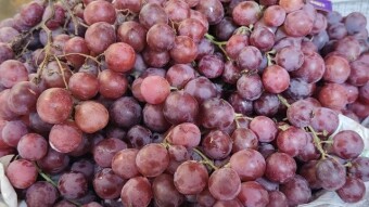 Hosen fruit shop,Dagonbhuiyan.
