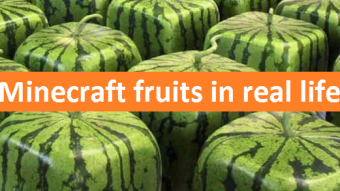 Minecraft fruits in real life and other rare fruits