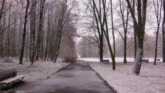 From warm red to cool white in one night - My Actifit Report Card: January 19 2023