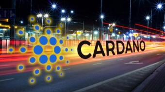 Cardano ITN: What is to become of it after the balance check?