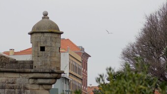 Trip to Porto de Leixões - Matosinhos | Portugal