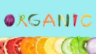 Organic Food & Spirituality