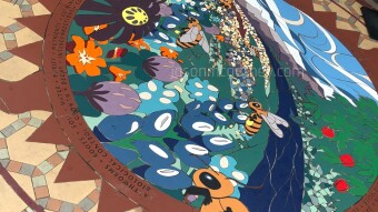 2022: a zoo trip and other adventures