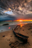 The Last Rays