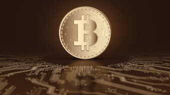 Crypto Coins Are Pumping But Still Prefer Holding