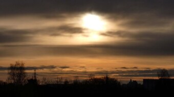 A truly spring Saturday and a nice long walk - My Actifit Report Card: January 25, 2025