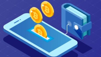 Pros and cons of leading multicoin cell phone wallets 📲