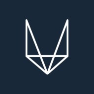 VOLENTIX - Detailed Review
