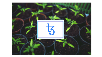 In the past two years Tezos has had an average of 31 smart contract deployments a day.