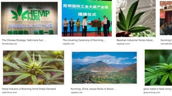 Short sighted CBD ban is bad business for Chinese Investors