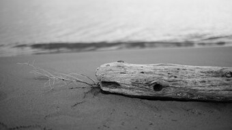My favourite B&W photos pt. 4: Artist Nature