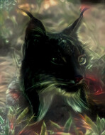 Spirit World Lynx