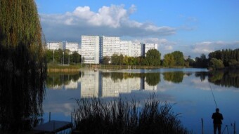 Taxiing around the pond - My Actifit Report Card: September 23 2022