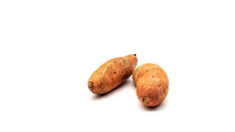 New Yield Farming Protocol Yam Finance Launches