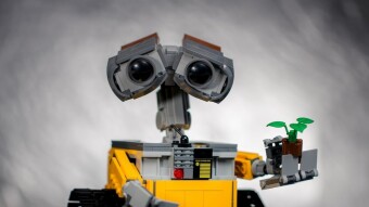 DOGE killed my Bot!