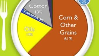 Common Sense Nutrition