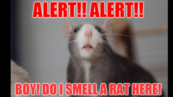 I Smell A BIG FAT Agenda 2030 RAT!