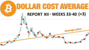 Great DCA experiment - report XII (weeks 33-40 +3)