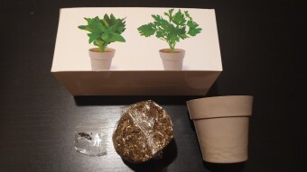 A really nice gift 🌱