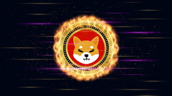 Is it already memecoin season? Shiba Inu, Dogecoin and Bonk fly!