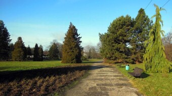 It's still spring. And that's how it should be - My Actifit Report Card: December 23, 2024
