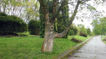 Cool, rainy, but further, optimistic because spring - My Actifit Report Card: April 20 2024