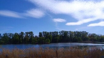 Thursday Warmer But Worrying - My Actifit Report Card: April 30, 2026