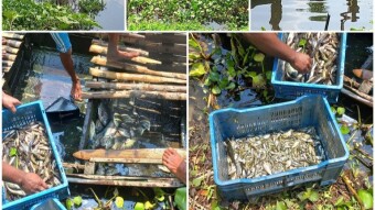 The feeling of buying fish directly from fishermen.