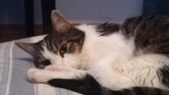 Murphy 2005 - 2017 die letzten Fotos