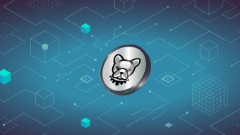 PIT Token: Unleashing Possibilities and Use Cases in the Crypto Ecosystem