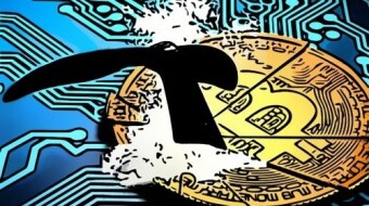 No More Free Willy - Why We Should Stop Applauding Corporate Killer "Whale" Adaption of Bitcoin