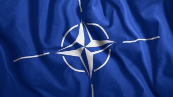 Is this the last insult to humanity? Pinokkio (Lying Dutchman Rutte) becomes Sec. Gen. of the NATO