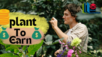 Link Your Finance With your Hobbies—My Plant-2-Earn Hobby
