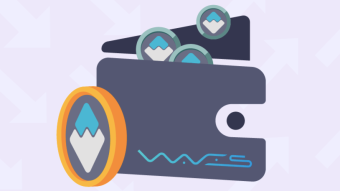 Waves Wallet Review