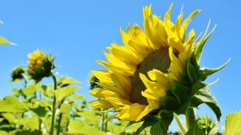 Daily Affirmations - 10 Feb, 2020