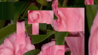 Toward Focusing Verisimilitude