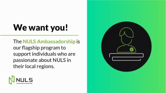 Calling All NULS Q2 Ambassador Candidates