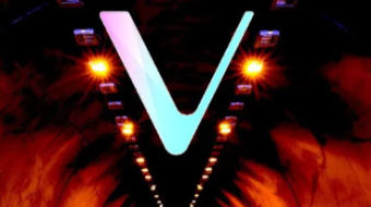Vechain More Relevant Than Ever During Pandemic