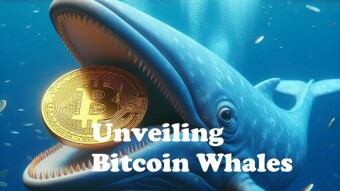 Unveiling Bitcoin Whales: Who are the Bitcon Whales.